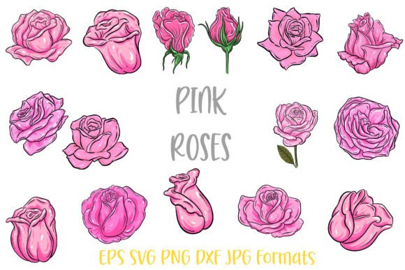 Download Pink Rose Flower Line Art Illustrations - Ink Collection
